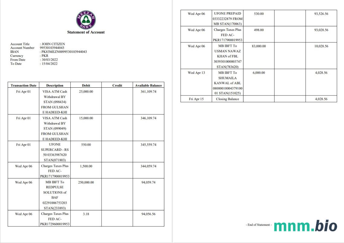 Pakistan Meezan Bank Limited wyciąg z konta Word i szablon PDF